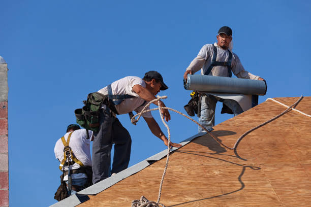 Best Roof Leak Repair  in Elmwood, IL