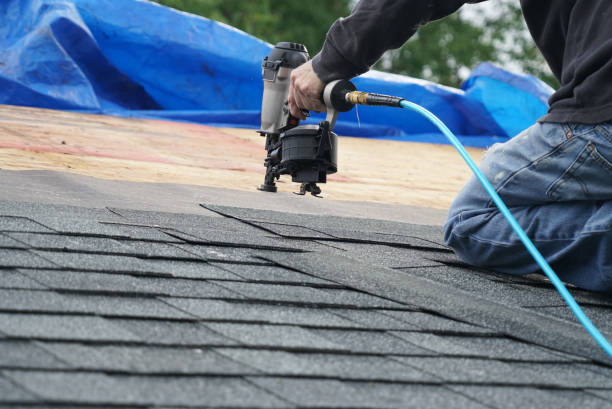 Best Metal Roofing Contractor  in Elmwood, IL
