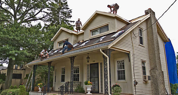 Best Best Roofing Contractors  in Elmwood, IL