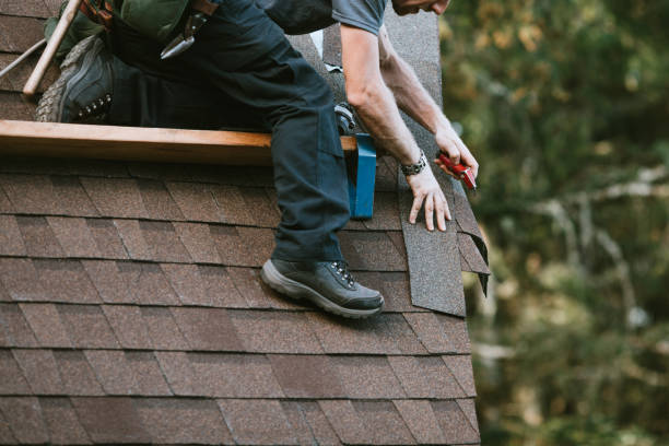 Best Local Roofing Companies  in Elmwood, IL